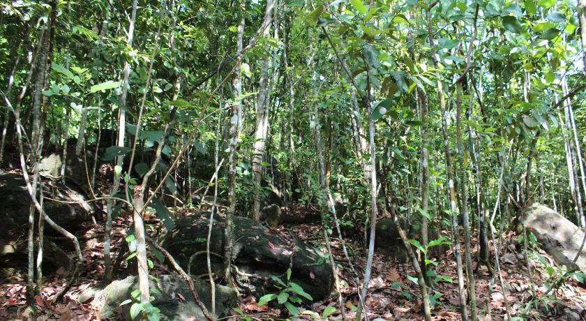 The Nature Kuruwita photo
