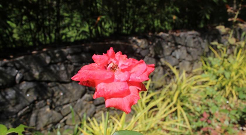The Nature Kuruwita photo