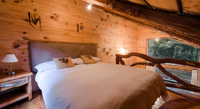 Huilo Huilo Cabanas del Bosque photo