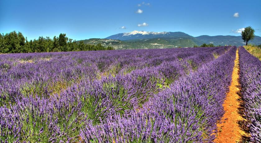 Le Jas de Gordes