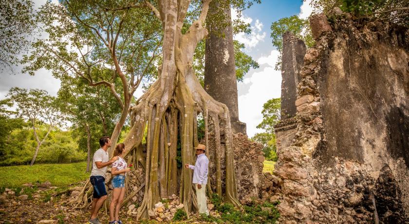 Hacienda Uxmal Plantation & Museum