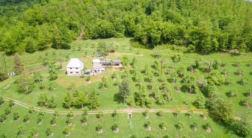 Kljajevica Orchard photo