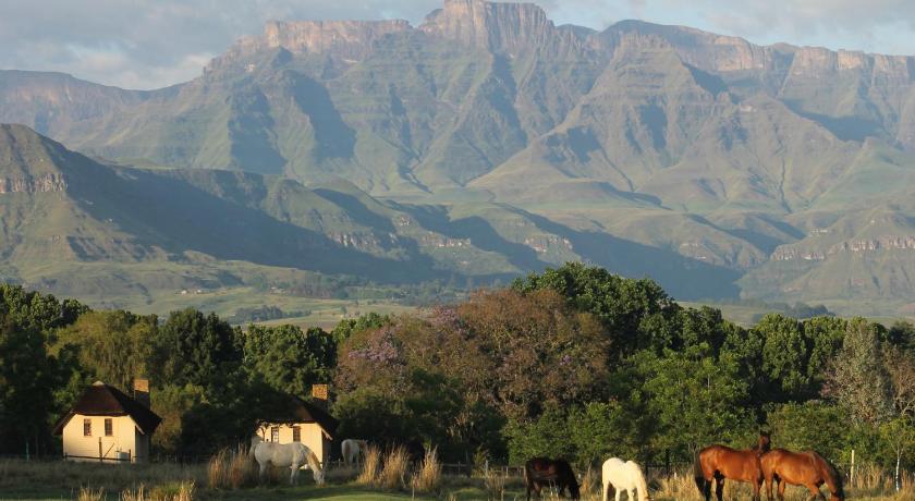 Ardmore Guest Farm