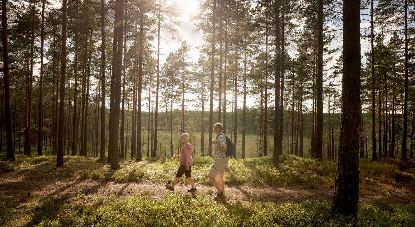 First Camp Hokensas-Tidaholm