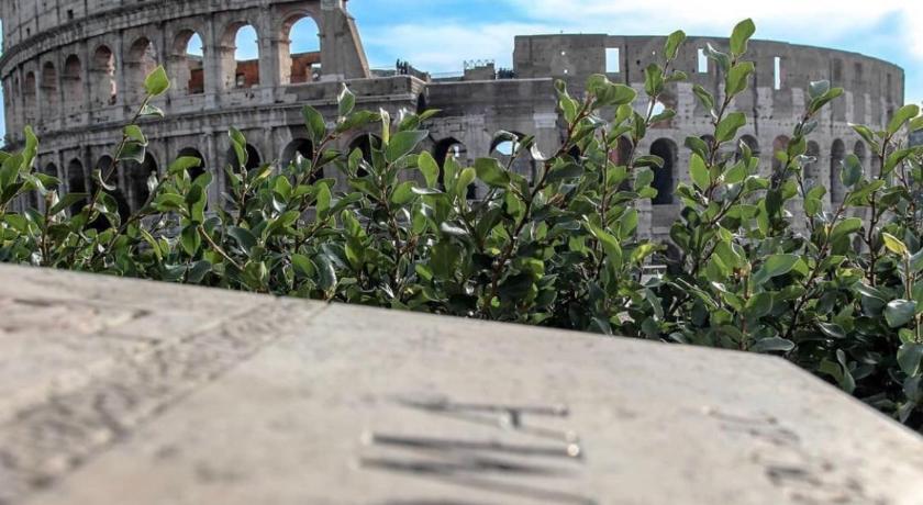 罗马 Termini Palace Guesthouse 2星级 酒店 泳池