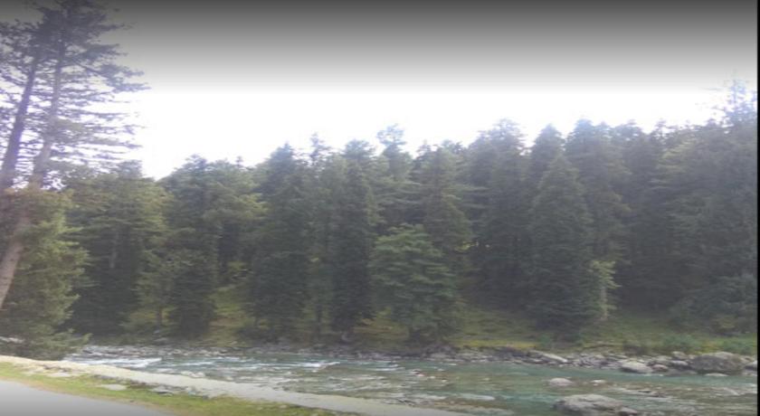 Aru Camping Resort Aru, J&K photo