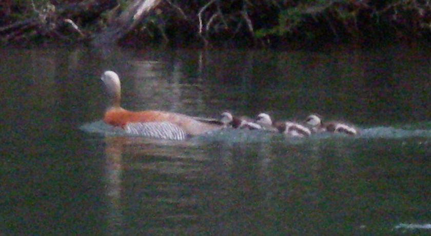 Confin Patagonico photo