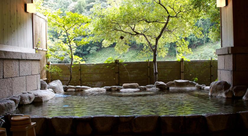 a pool of water surrounded by trees and shrubbery, Kawayu Onsen Fujiya Ryokan in Tanabe