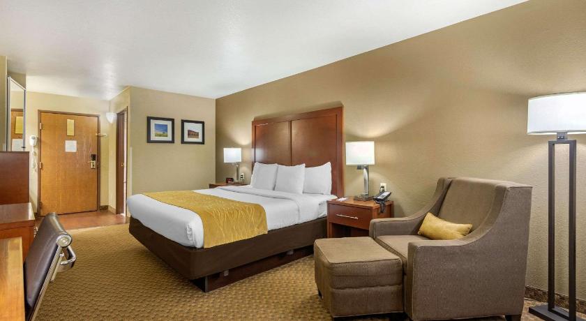 Comfort Inn and Suites Springfield