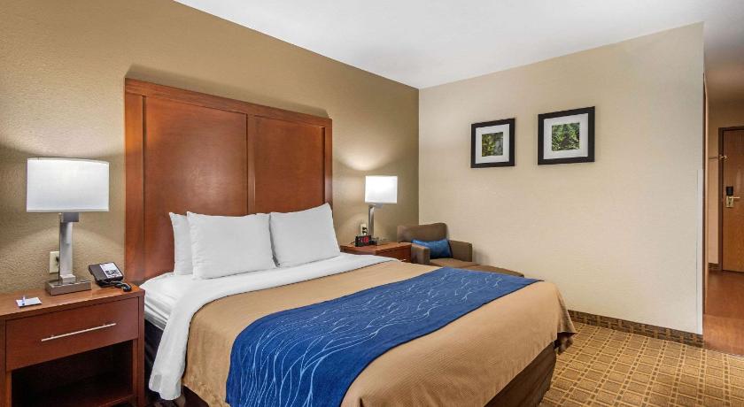 Comfort Inn and Suites Springfield