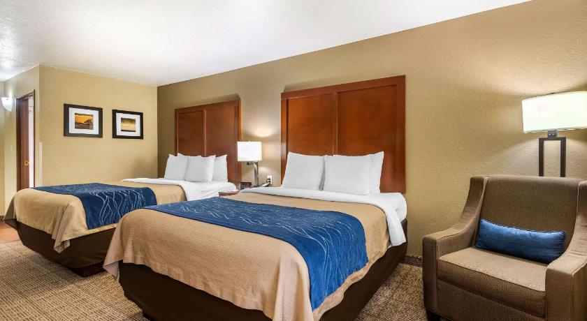 Comfort Inn and Suites Springfield