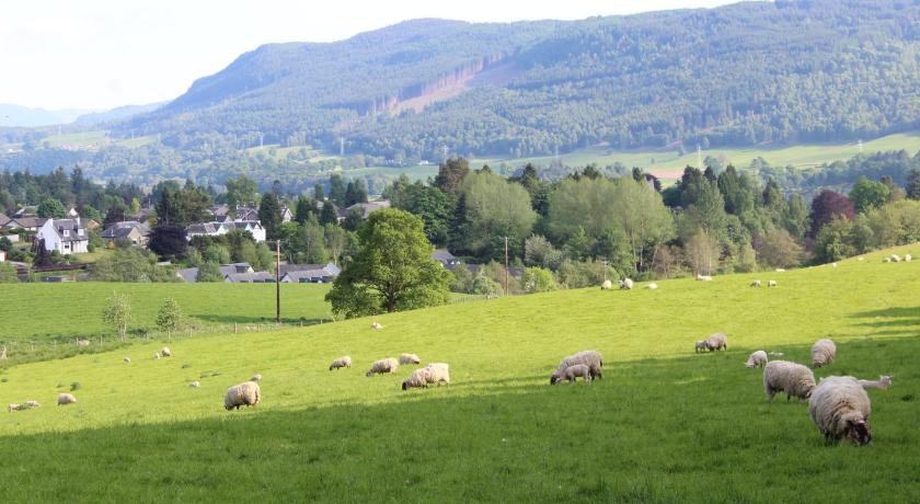 Pitlochry Youth Hostel photo