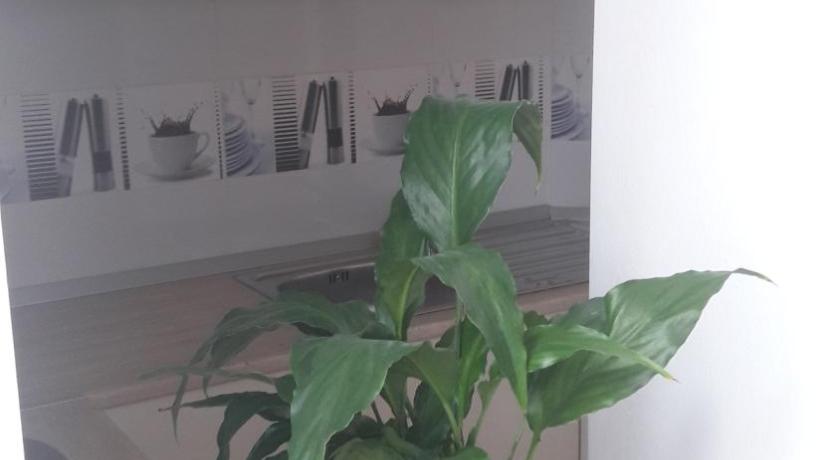 Melody Apartment photo