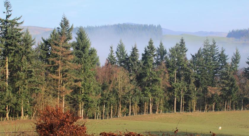Dee Valley Cottages - image 3