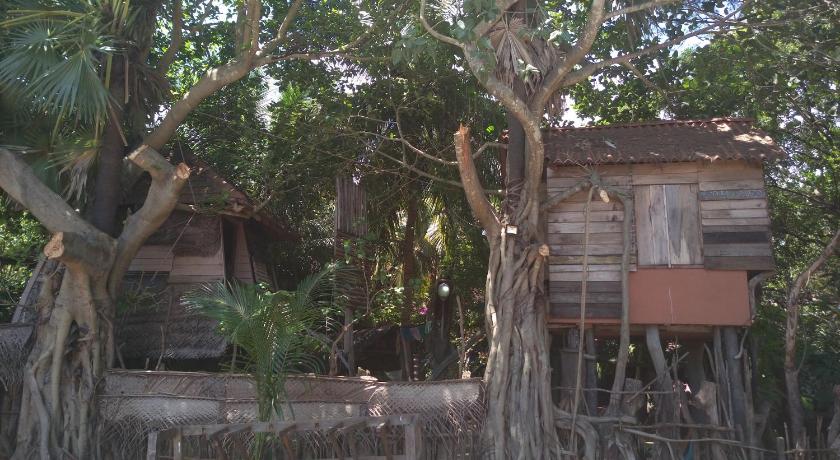 Image of Single Room in Tree House with Shared Bathroom 4