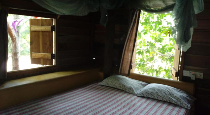 Image of Single Room in Tree House with Shared Bathroom 1
