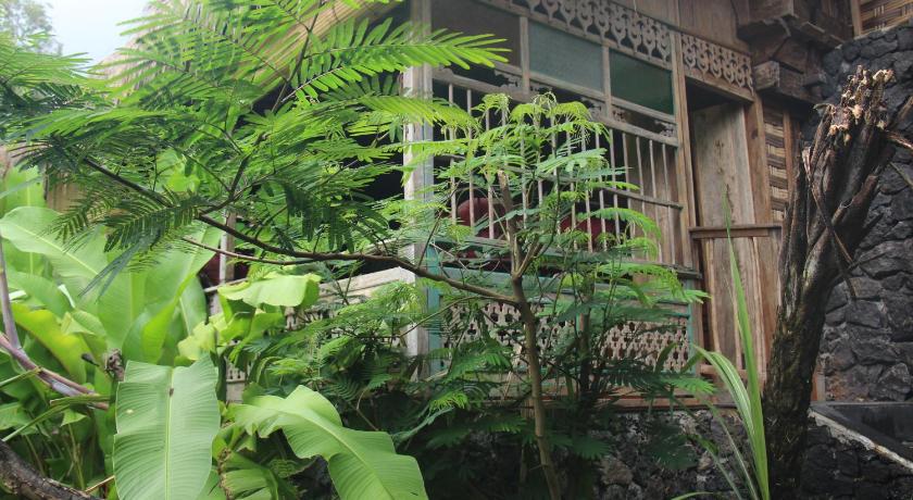 a green plant growing in front of a house, Geopark Village in Bali