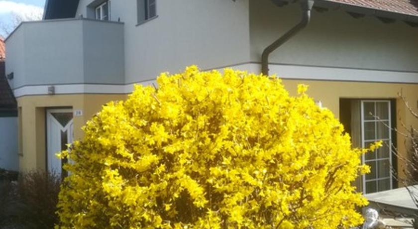 Vronis-Apartment