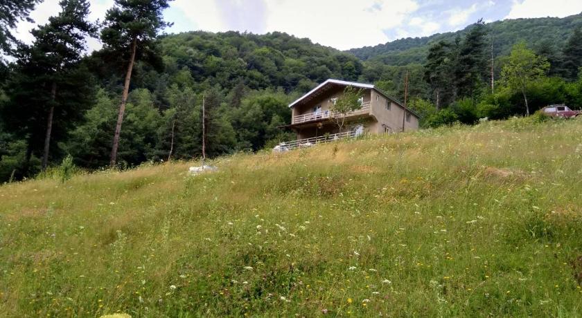 Gama Guesthouse — Hotel in Tusheti