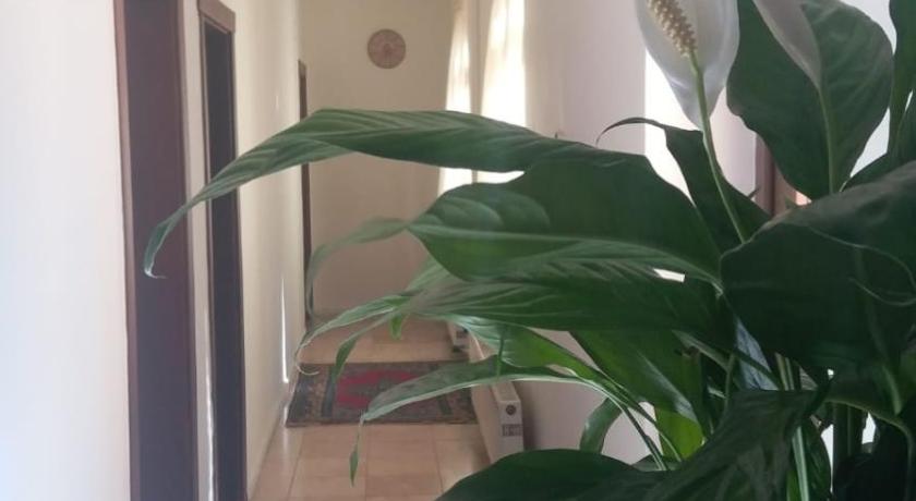 SENA HOTELS photo