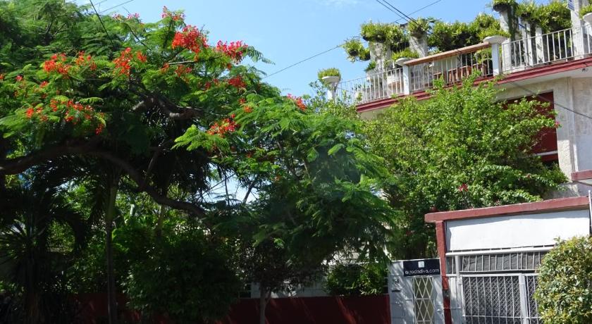 Casa Algadadiva 価格 写真 レビュー アドレス キューバ