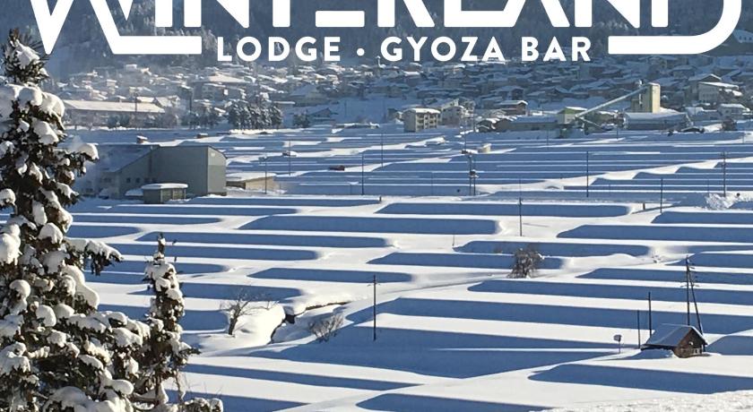 Winterland Lodge & Taproom photo