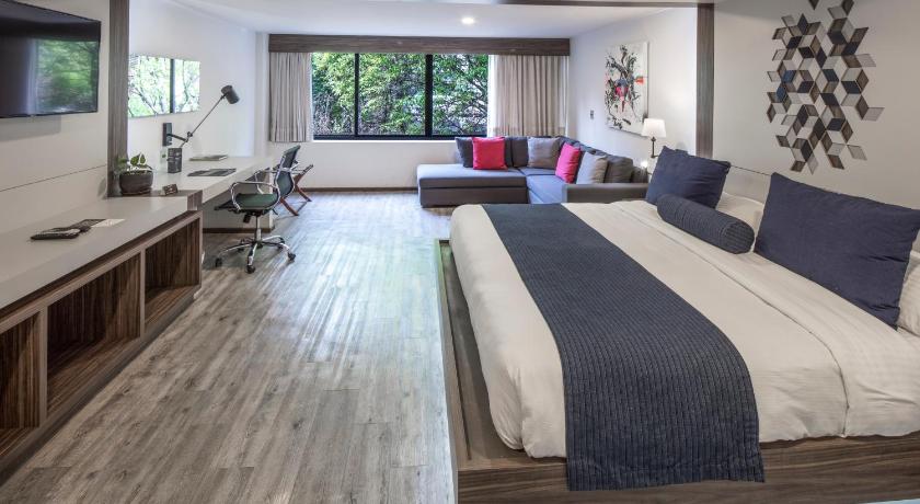 FlowSuites Condesa - Adults Only