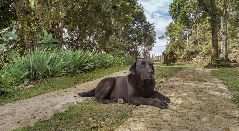 Glamping Finca Corazon photo