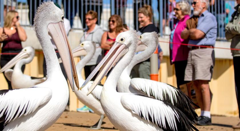 BIG4 Phillip Island Caravan Park