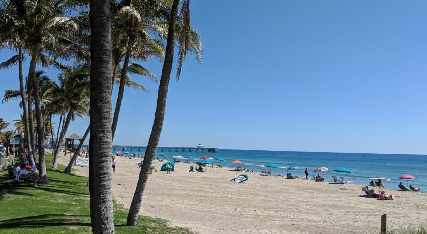 a beach with palm trees and palm trees, Ashley Brooke Beach Resort in Deerfield Beach (FL)