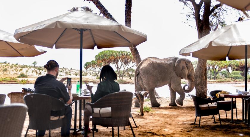 Elephant Bedroom Camp - Samburu photo