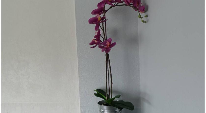 鲁西永 Europa Hotel 2星级 酒店 餐厅