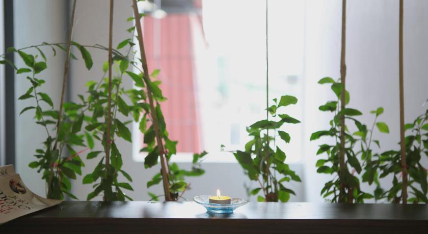 Jasmine Apartment managed by Lily Home photo