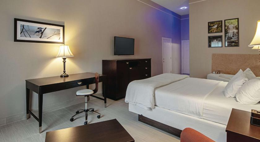 La Quinta Inn & Suites by Wyndham Alamo - McAllen East