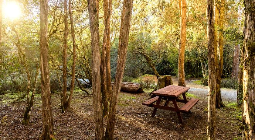 Discovery Parks - Cradle Mountain