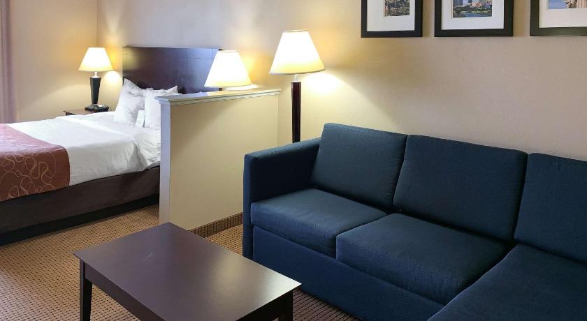 Comfort Suites Near Alliance