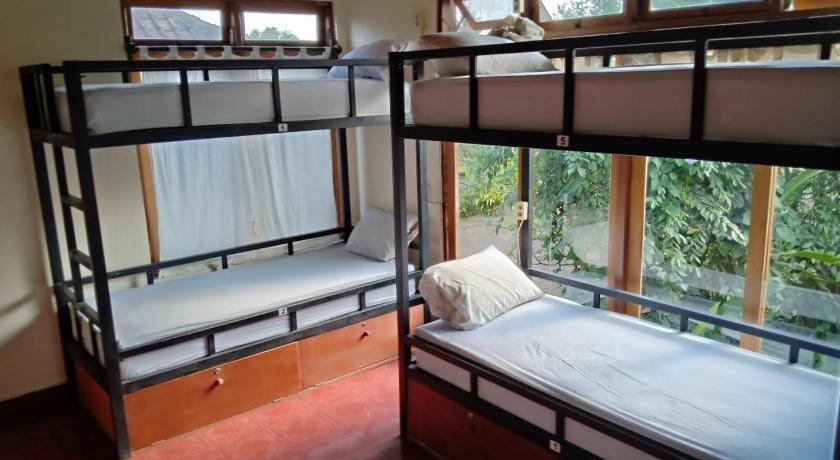 Image of Bed in 8-Bed Mixed Dormitory 0