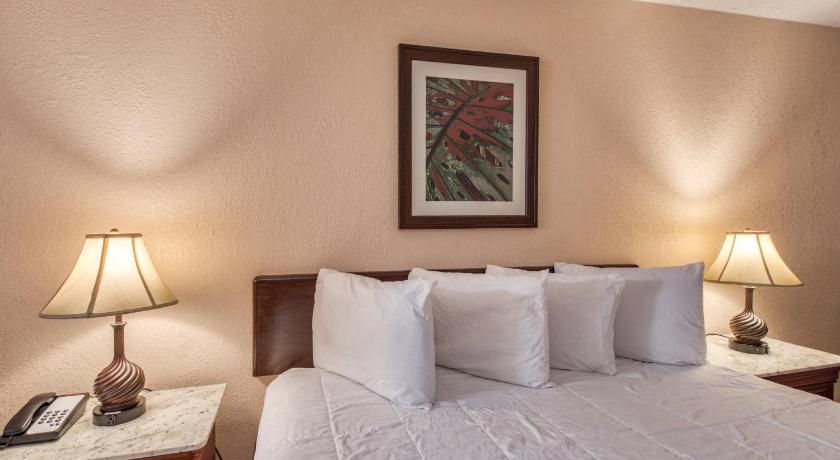 Palms Garden Inn photo