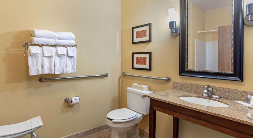 Comfort Suites McKinney-Allen