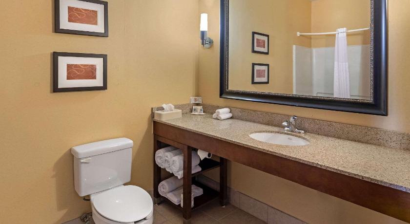 Comfort Suites McKinney-Allen