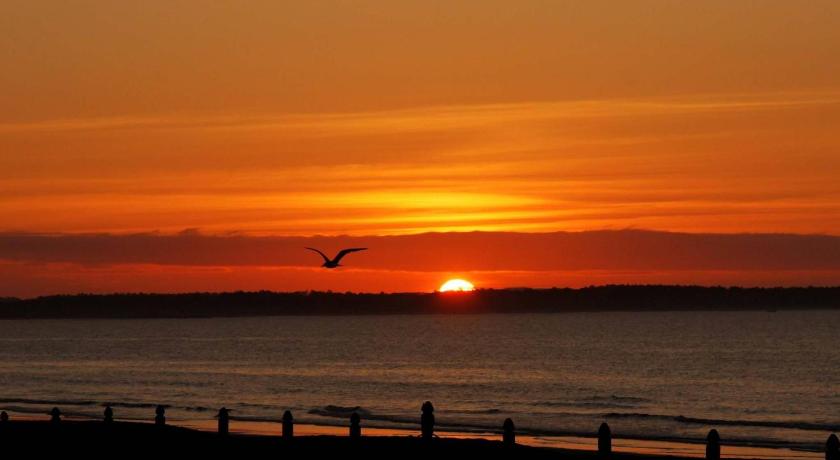 The Skylark Beach Inn photo