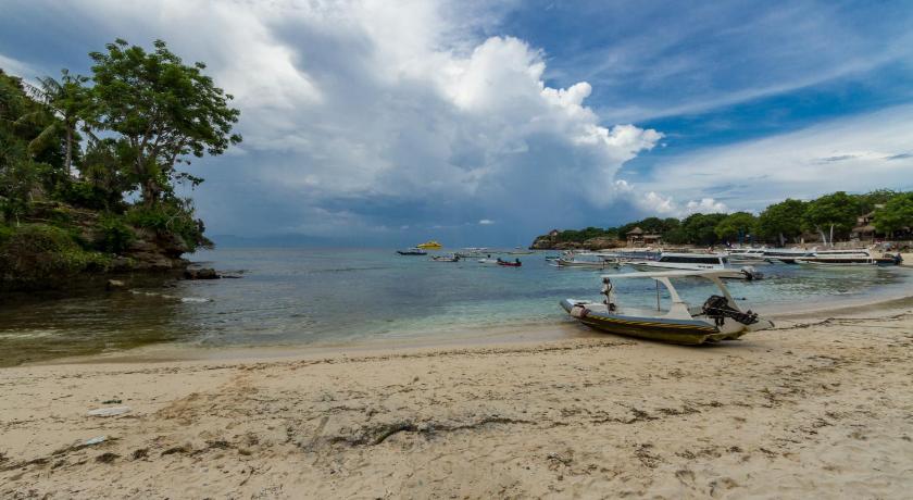 Dream Beach Hostel Lembongan                                                                photo