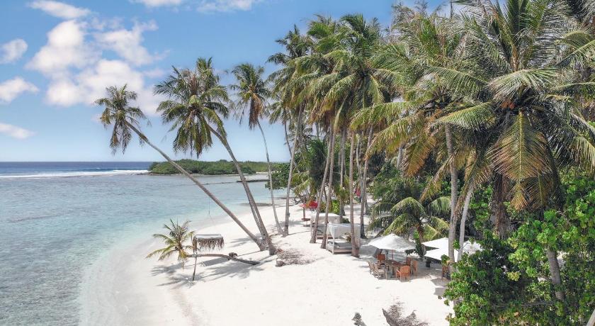 Samura Maldives Guest House Thulusdhoo