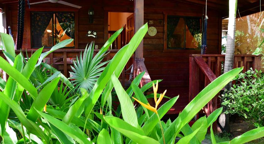 a garden filled with lots of plants and trees, West Bay Lodge and Spa in Roatan Island