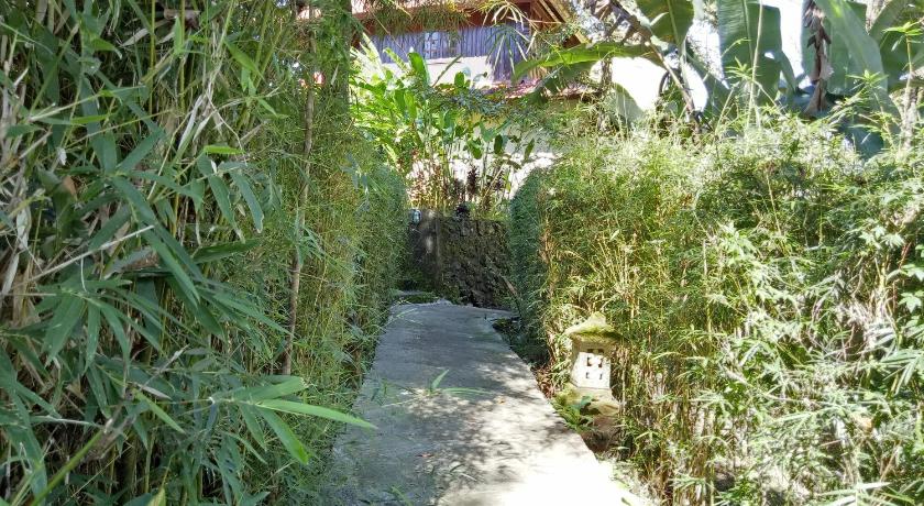 Image of Garden View 16
