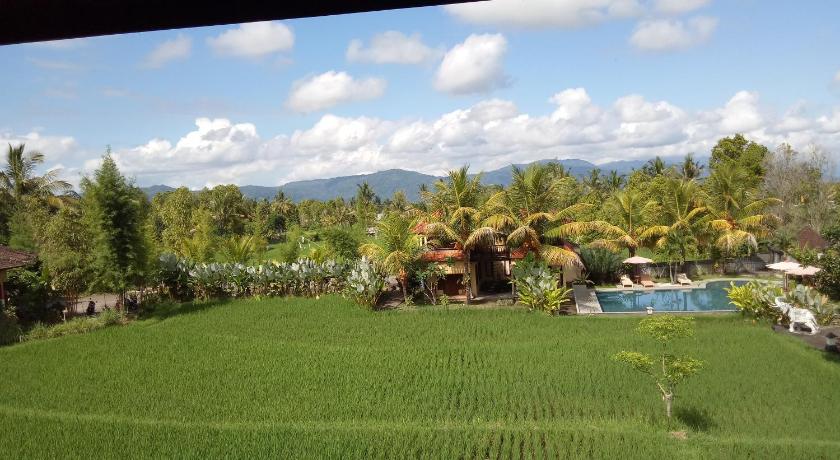 Image of Deluxe Villa 9