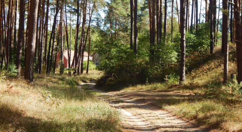Ferienhaus am Wald mit Klavier, Holzofen, Sauna photo