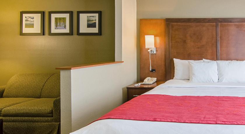 Comfort Suites photo