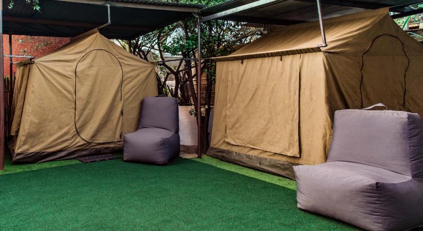 Chameleon Backpackers & Guesthouse photo
