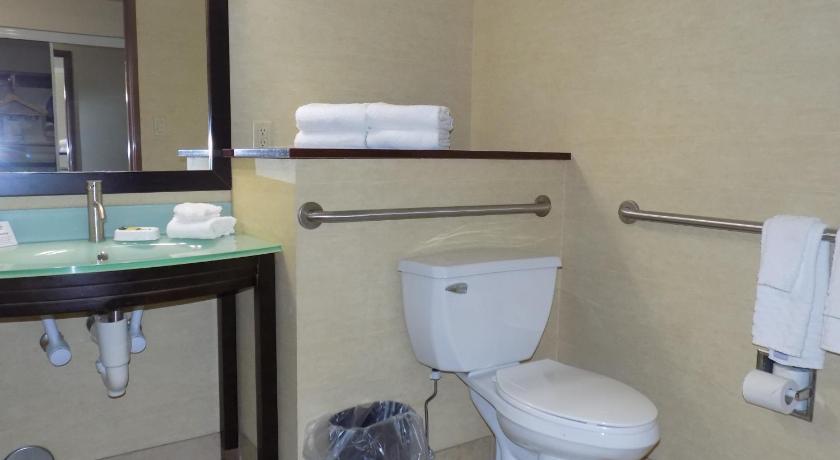 Best Western Plus Portage Hotel and Suites